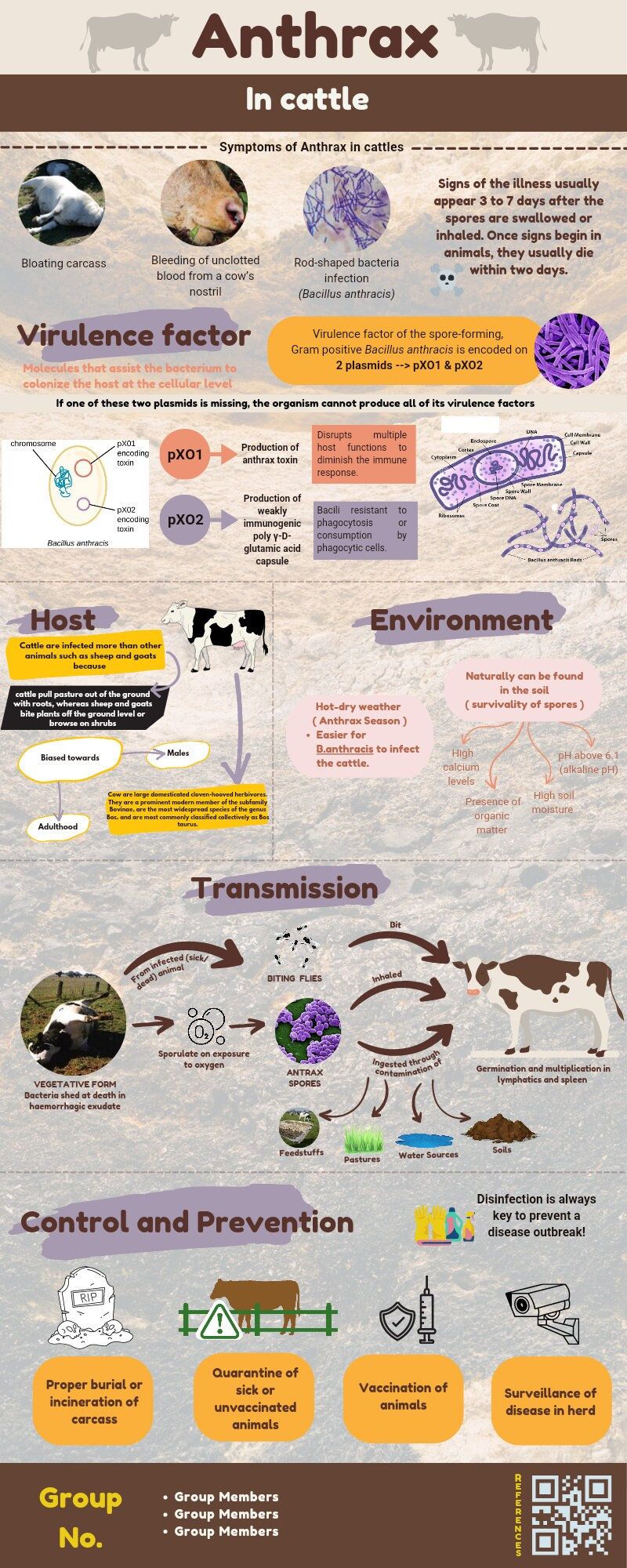 anthrax in cattle