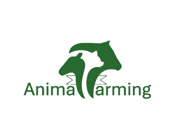 Animals Farming